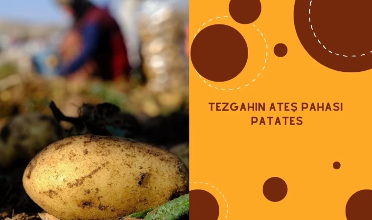 Ateş pahası : Patates