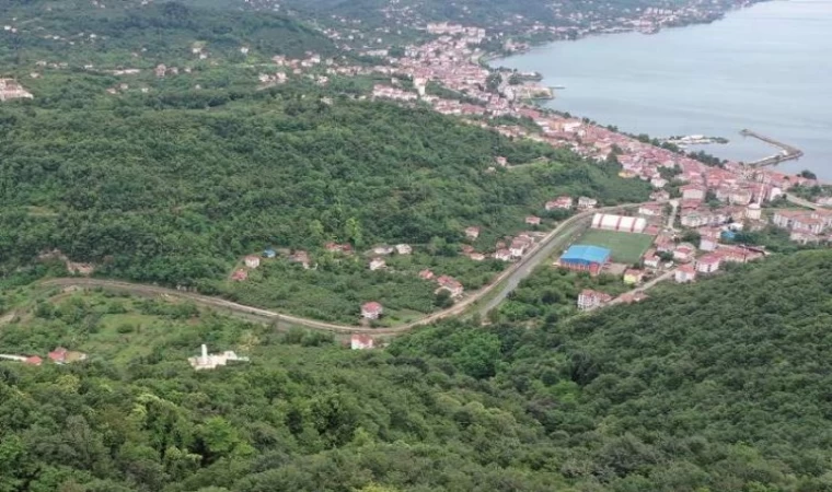 Çöp dağı yeşil terasa büründü
