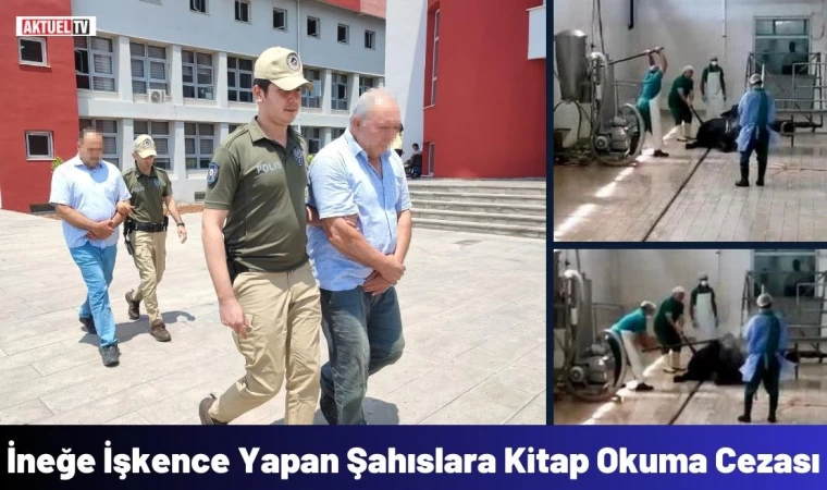 İneğe İşkence Yapan Şahıslara Kitap Okuma Cezası