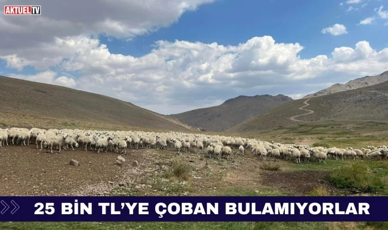 25 Bin TL’ye Çoban Bulamıyorlar