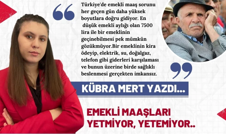 Emekli Maaşları Yetmiyor!!