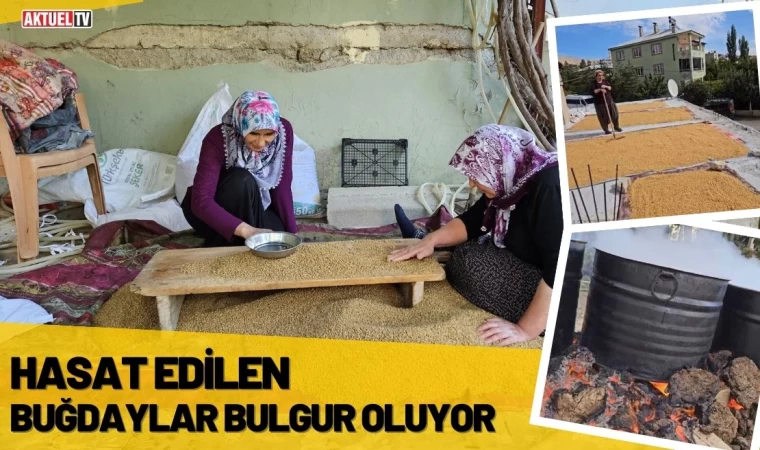 Hasat Edilen Buğdaylar Bulgur Oluyor