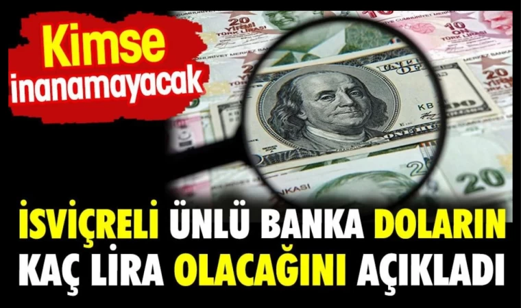 Yıl sonu, 2024 başında Dolar kaç Para olacak