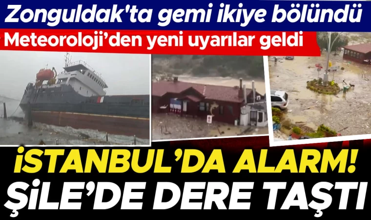 Zonguldak'ta Yük Gemisi Karaya Vurdu