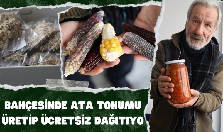 Bahçesinde Ata Tohumu Üretip Ücretsiz Dağıtıyor