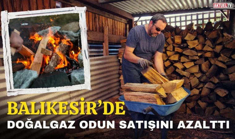 Balıkesir’de Doğalgaz Kullanımı Odun Satışını Azalttı