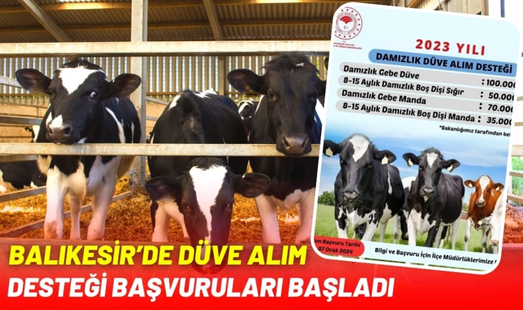 Balıkesir’de Düve Alım Desteği Başvuruları Başladı