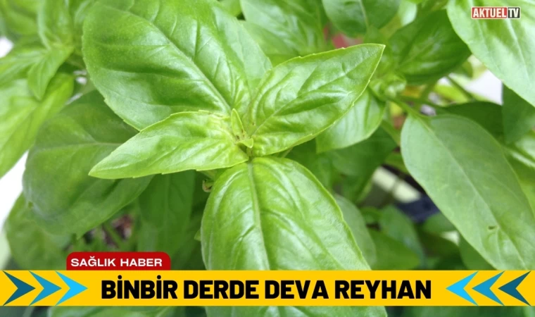 Binbir Derde Deva Reyhan