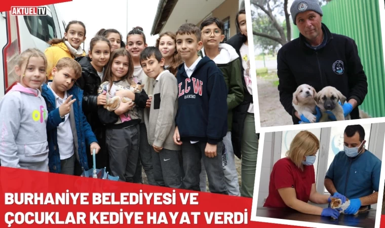 Burhaniye Belediyesi Ve Çocuklar Kediye Hayat Verdi