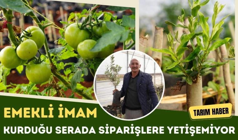 Emekli İmam Kurduğu Serada Siparişlere Yetişemiyor