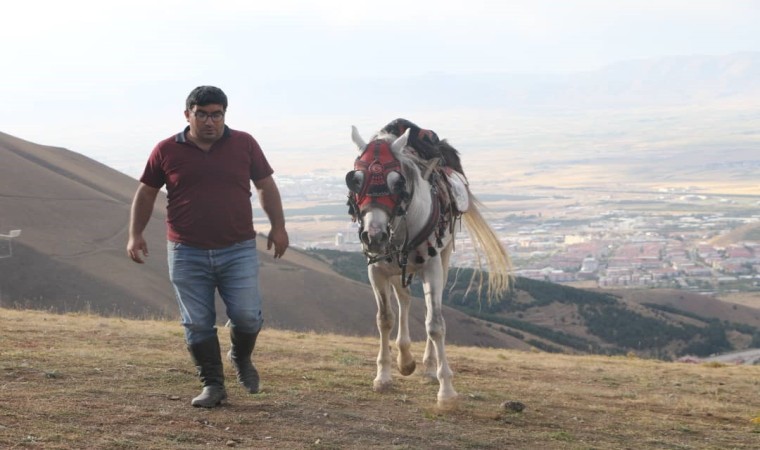 Eski Çağ’dan Modern Çağ’a Atın Kitabı