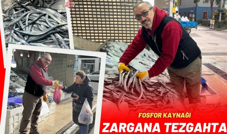 Fosfor Kaynağı Zargananın Kilosu 150 Lira