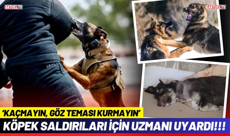 Köpek Saldırıları İçin Uzmanı Uyardı: ‘Kaçmayın, Göz Teması Kurmayın’