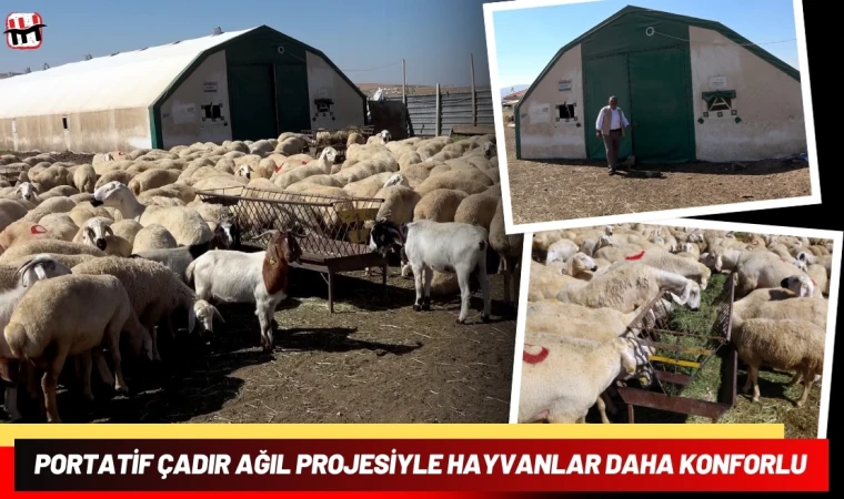 Portatif Çadır Ağıl Projesiyle Hayvanlar Daha Konforlu