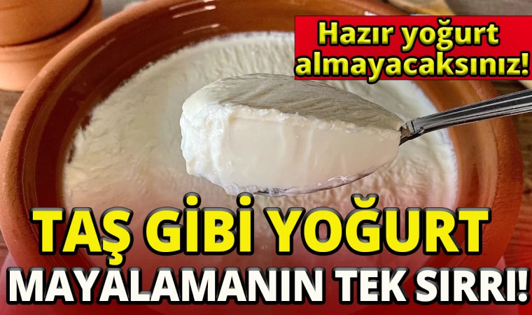 Taş Gibi Yoğurt Mayalamanın Sırrı Bulundu