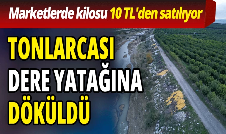 Tonlarca Limon Dere Yatağına Döküldü