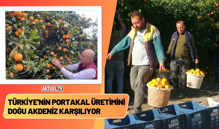 Türkiye'nin Portakal Üretimini Doğu Akdeniz Karşılıyor