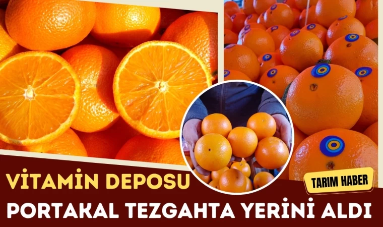 Vitamin Deposu Portakal Tezgahta Yerini Aldı