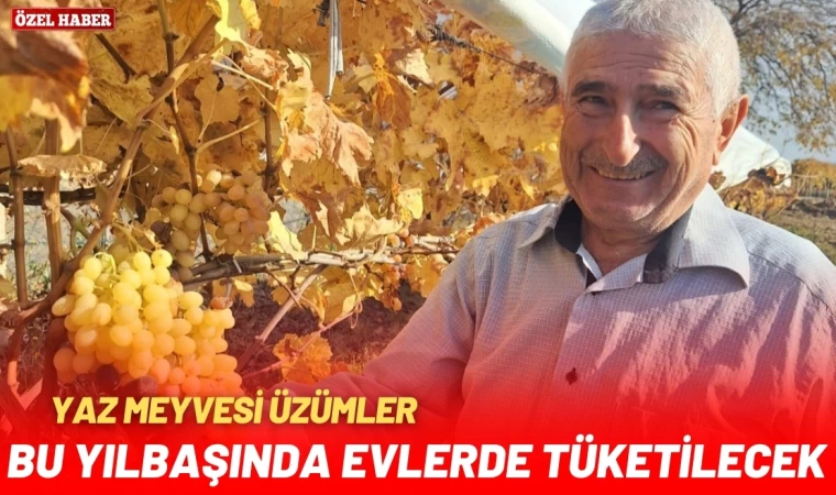 Yaz Meyvesi Üzümü Yılbaşında Tüketiliyor