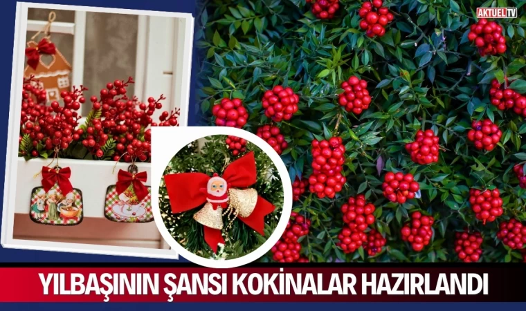 Yılbaşının Şansı Kokinalar Hazırlandı