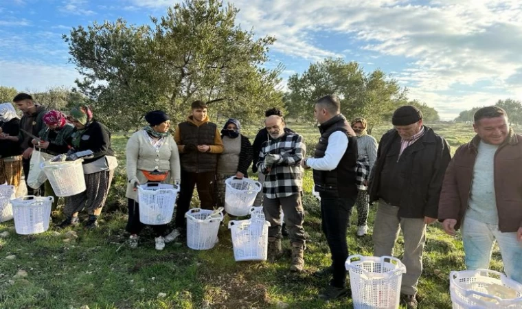 Akhisar’da zeytin üreticisine koruyucu malzeme