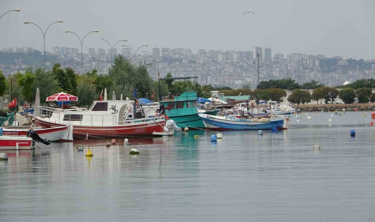 Balıkçılara gemilerinin boy uzunluğuna göre destek ödemesi yapılacak