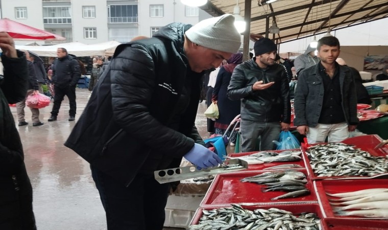 Beyşehir’de boy limiti altında balık tüketilmemesi çağrısı
