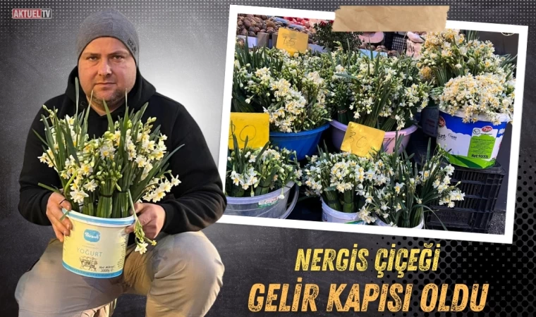 Doğadan gelen Nergis Çiçeği Gelir Kapısı oldu