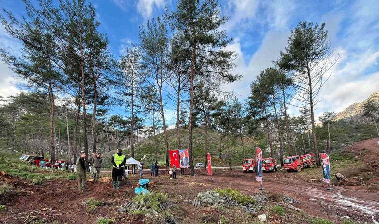 Marmaris’in ilk tescilli bal ormanında 5 bin fidan dikildi