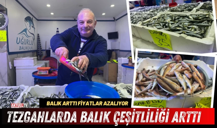 Tezgahlarda balık çeşitliliği arttı, hamsi azaldı   