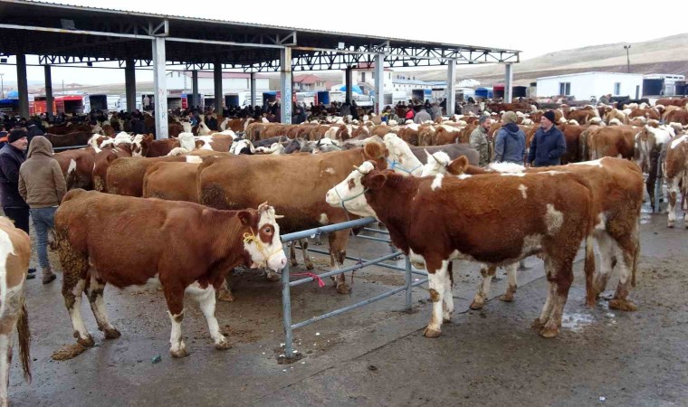 Yozgat’ta canlı hayvan pazarları tedbir amaçlı kapatılacak