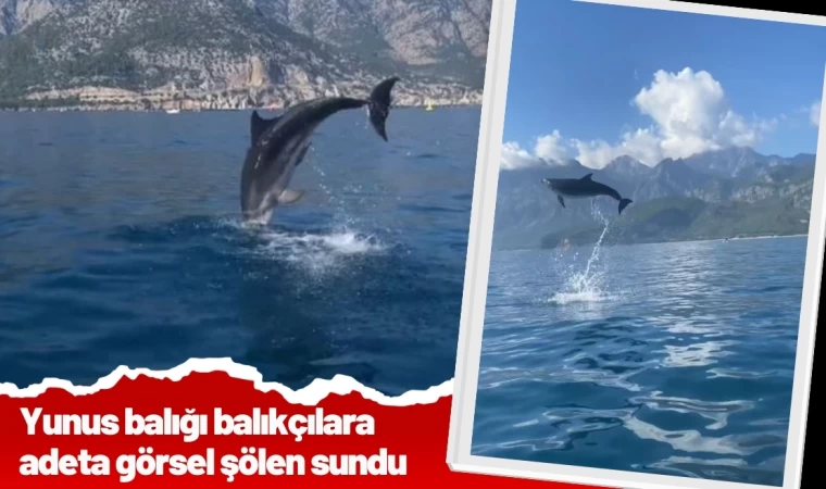 Yunus Balığı Balıkçılara Adeta Görsel Şölen Sundu