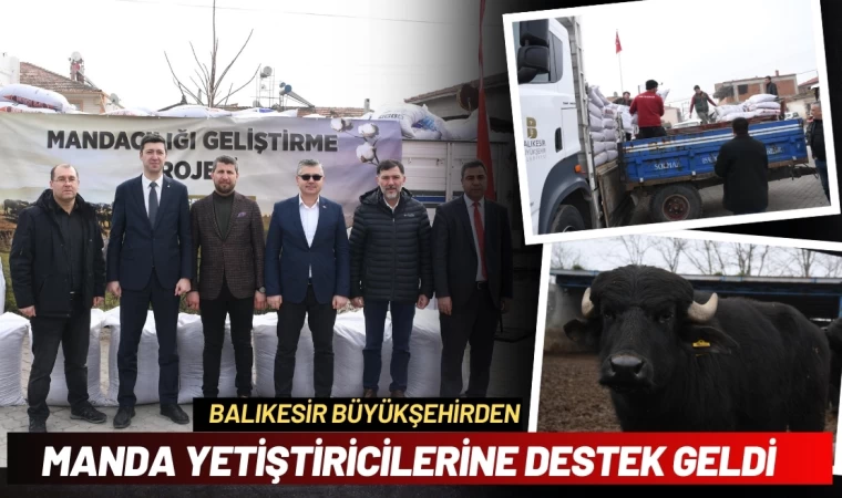 Büyükşehir’den manda yetiştiricilerine destek