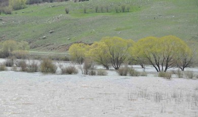 Kars’ta ağaçlar su altında kaldı