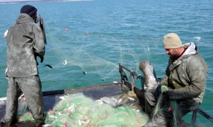 Van Gölü’nde inci kefali için av yasağı başlıyor