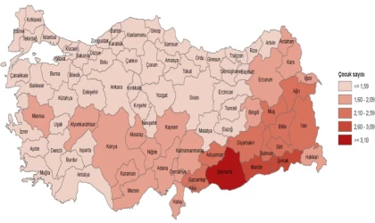 TÜİK canlı doğan bebek verilerini açıkladı