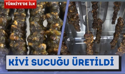 Türkiye'de ilk kez üretilen kivi sucuğunun patenti alındı