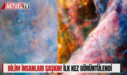 Bilim insanları şaşkın! İlk kez görüntülendi