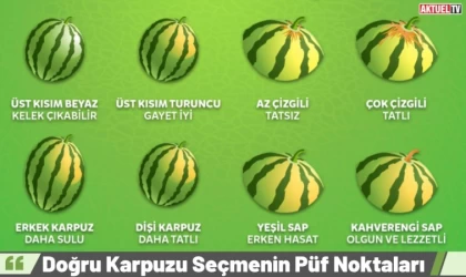 Doğru Karpuzu Seçmenin Püf Noktaları