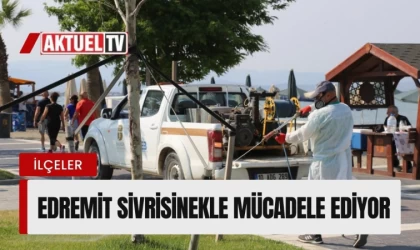 Edremit sivrisinekle mücadele ediyor