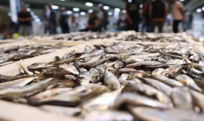 Balıklar da Zamlardan Nasibini Aldı