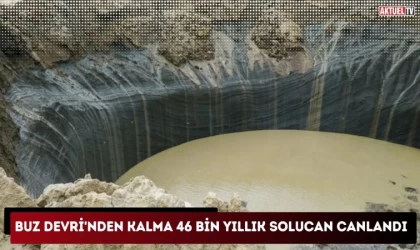 Buz Devri'nden Kalma 46 Bin Yıllık Solucan Canlandı