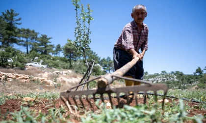 Çiftçinin Yüzü Gülüyor