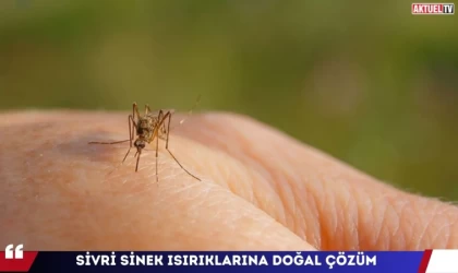 Sivri Sinek Isırıklarına Doğal Çözüm