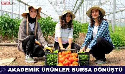Akademik Ürünler Bursa Dönüştü
