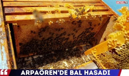 Arpaören’de Bal Hasadı