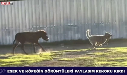 Eşek ve Köpeğin Görüntüleri Paylaşım Rekoru Kırdı