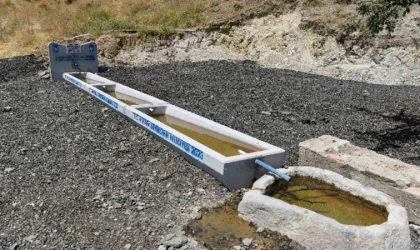 Hayvancılığa Sıvat Desteği