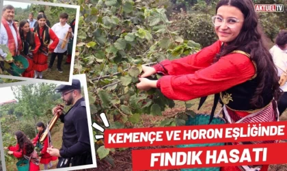 Kemençe ve Horon Eşliğinde Fındık Hasatı