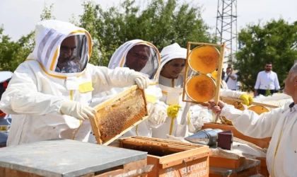 1 Ton Bal Bekleniyor